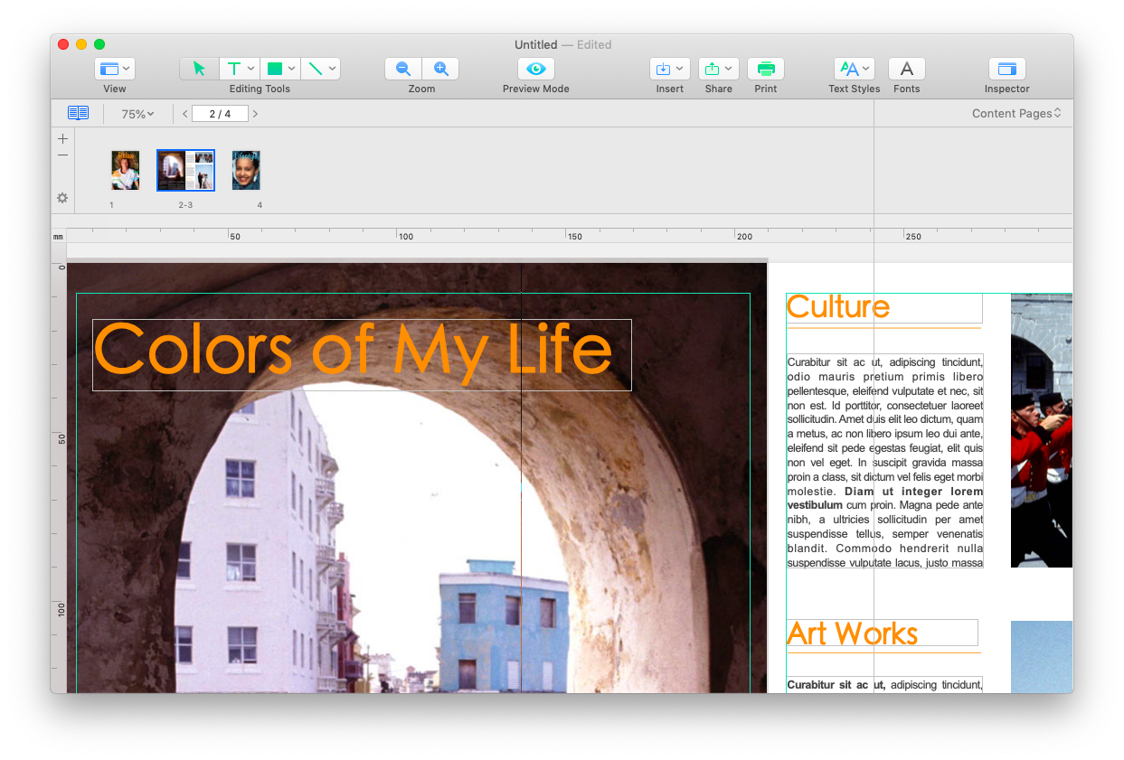 Can you use microsoft publisher on a mac pdf